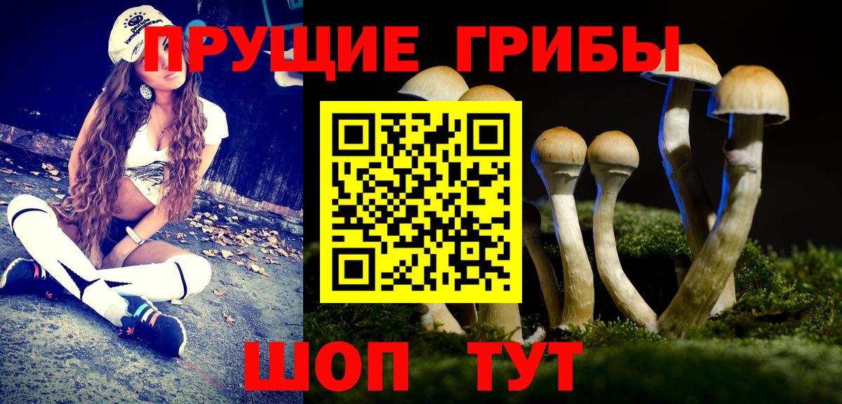 Галлюциногенные грибы мицелий  Галлюциногенные грибы Magic Shrooms  Кудрово  Вход с VPN 