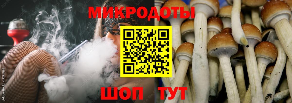 Галлюциногенные грибы MAGIC MUSHROOMS Кудрово